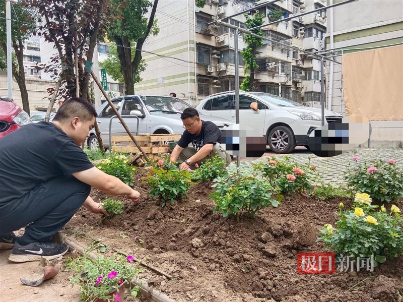 园林景观设计：塑造自然与人文和谐交融的艺术