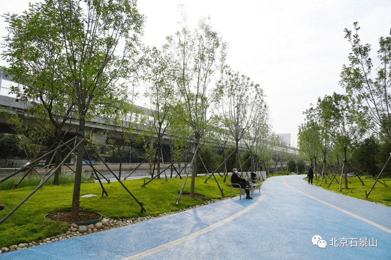 绿色城市的脉动——市政园林工程业的最新动态