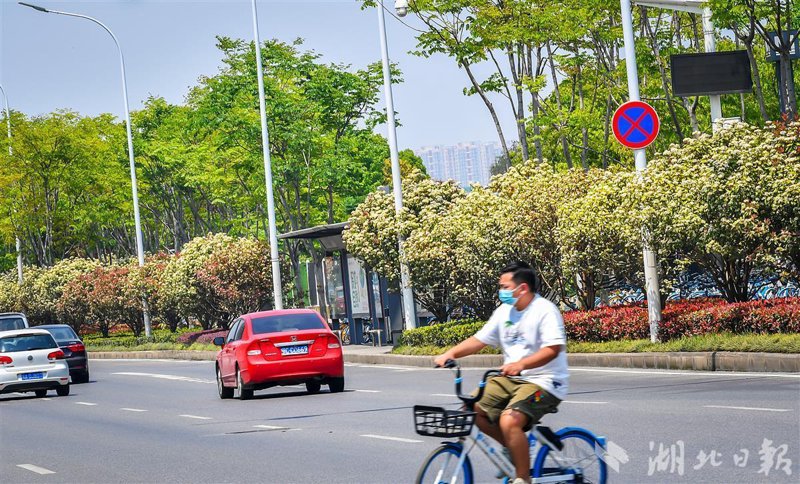 打造温馨家园——园林景观设计选购指南