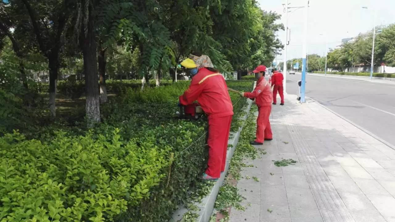 市政园林工程：城市绿肺的呼吸