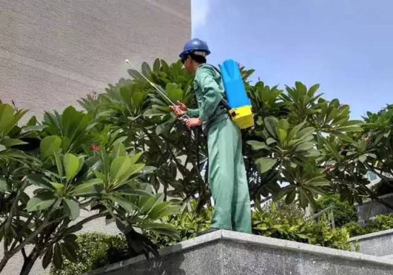 武汉园林绿化的春天来了