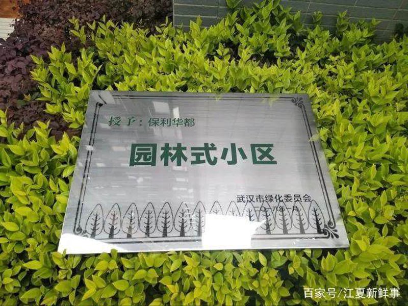 别墅庭院绿化的艺术与科学