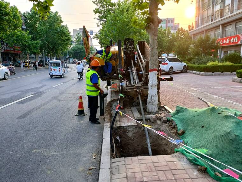 城市绿肺：市政园林工程在现代城市的建设与维护中的重要性